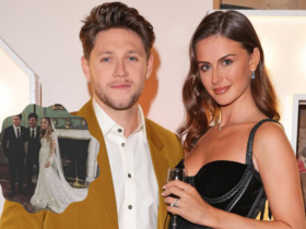 Is Niall Horan Married